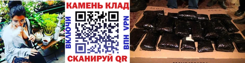 ГАШ Premium  Тейково 