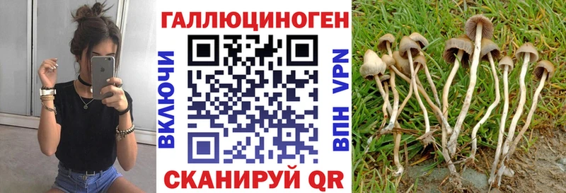 Галлюциногенные грибы прущие грибы Тейково