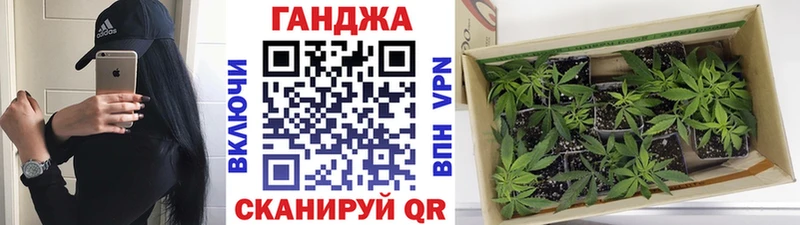 Конопля гибрид  купить наркотики цена  Тейково 